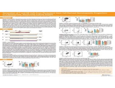 Generation of T and NK Cells From Pluripotent Stem Cell-Derived Hematopoietic Progenitors in a Stroma-Free, Serum-Free Culture System