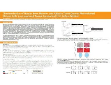 Characterization of Human Bone Marrow- and Adipose Tissue-Derived Mesenchymal Stromal Cells in an Improved Animal Component-Free Culture Medium