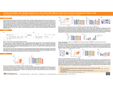 A Reproducible and Simple Method to Generate Red Blood Cells From Human Pluripotent Stem Cells