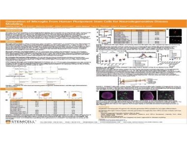 Generation of Microglia From Human Pluripotent Stem Cells for Neurodegenerative Disease Modeling