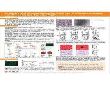 Suspension Culture Of Human Mesenchymal Stromal Cells On Dissolvable Microcarriers In An Animal Component-free Culture System