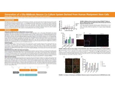 Generation of a Glia-Midbrain Neuron Co-Culture System Derived From Human Pluripotent Stem Cells