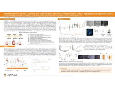 Robust Workflows for the Expansion and Differentiation of Human Pluripotent Stem Cells as Aggregates in Suspension Culture