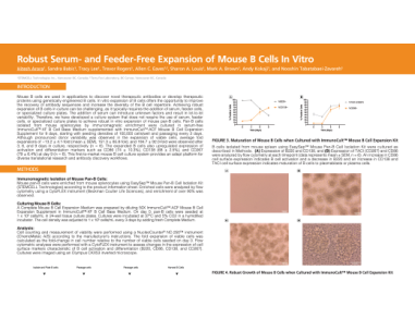 Robust Serum- and Feeder-Free Expansion of Mouse B Cells In Vitro