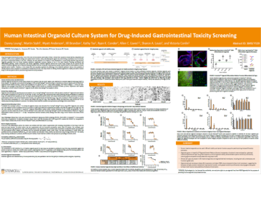 Human Intestinal Organoid Culture System for Drug-Induced Gastrointestinal Toxicity Screening