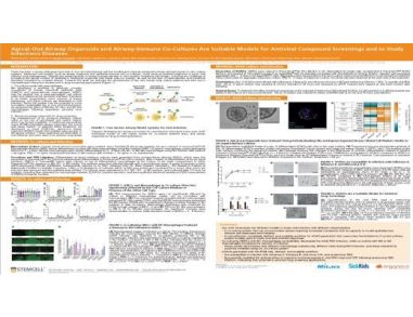 Apical-Out Airway Organoids and Airway-Immune Co-Cultures Are Suitable Models for Antiviral Compound Screenings and to Study Infectious Diseases