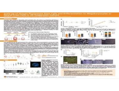 Scale-up of Human Pluripotent Stem Cells and Differentiation to Megakaryocytes or Neural Crest Cells in 3D Suspension Culture