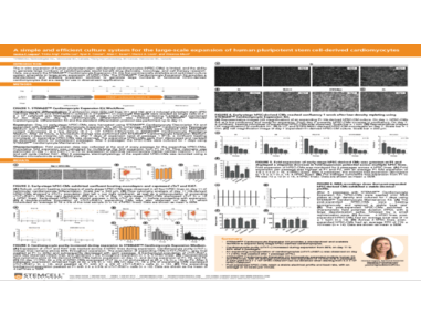 A Simple and Efficient Culture System for the Large-Scale Expansion of Human Pluripotent Stem Cell-Derived Cardiomyocytes