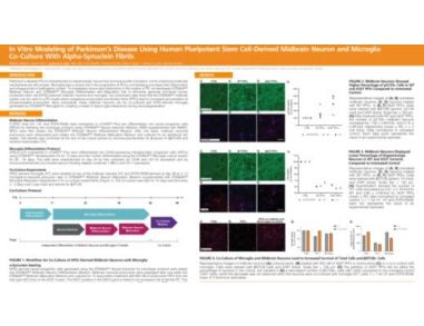 In Vitro Modeling of Parkinson’s Disease Using Human Pluripotent Stem Cell-Derived Midbrain Neuron and Microglia Co-Culture with Alpha-Synuclein Fibrils