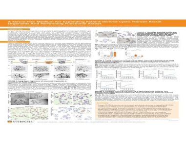 A Serum-free Medium For Expanding Patient-derived Cystic Fibrosis Rectal Organoids And Performing Functional Assays