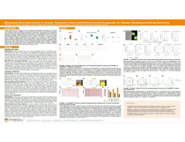 Measuring Activity in Human Pluripotent Stem Cell-Derived Neural Organoids for Disease Modeling and Drug Discovery