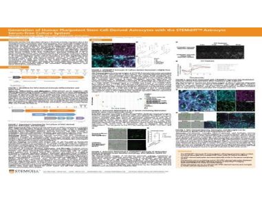 Generation of Human Pluripotent Stem Cell-Derived Astrocytes With the STEMdiff™ Astrocyte Serum-Free Culture System
