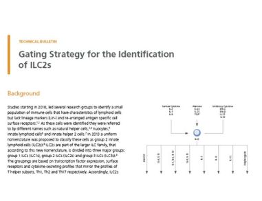 Gating Strategy for the Identification of ILC2s