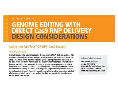 Genome Editing with Direct Cas9 RNP Delivery Design Considerations