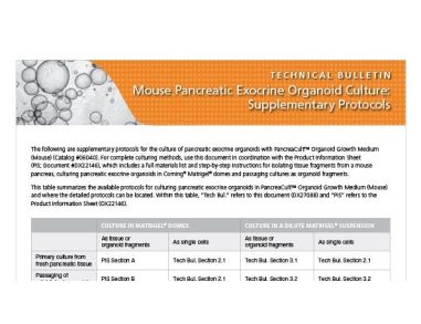 Mouse Pancreatic Exocrine Organoid Culture: Supplementary Protocols