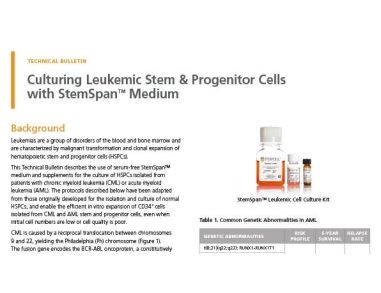 Culture and Expansion of Chronic Myeloid Leukemia Cells