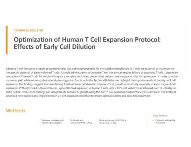 Optimization of Human T Cell Expansion Protocol: Effects of Early Cell Dilution
