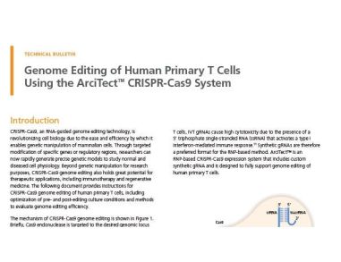 Genome Editing of Human Primary T Cells
