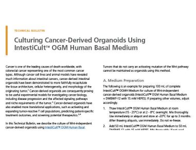 Culturing Cancer-Derived Organoids Using IntestiCult™ Organoid Growth Medium (Human)