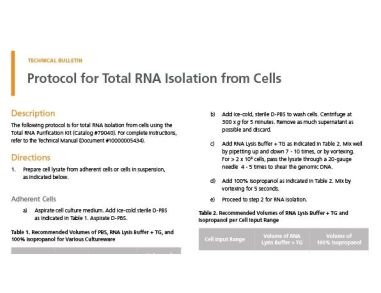 Protocol for Total RNA Isolation from Cells
