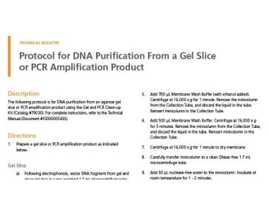 Protocol for DNA Purification From a Gel Slice or PCR Amplification Product