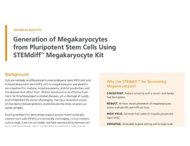 Generation of Megakaryocytes from Pluripotent Stem Cells Using STEMdiff™ Megakaryocyte Kit