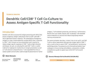 Dendritic Cell/CD8+ T Cell Co-Culture to Assess Antigen-Specific T Cell Functionality