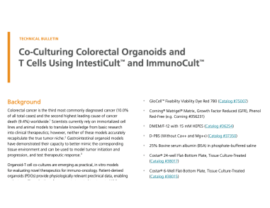 Co-Culturing Colorectal Organoids and T Cells using IntestiCult™ and ImmunoCult™