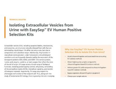 Isolating Extracellular Vesicles from Urine with EasySep™ EV Human Positive Selection Kits