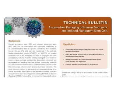 Enzyme-Free Passaging of Human Embryonic and Induced Pluripotent Stem Cells