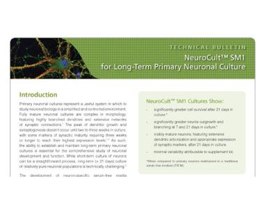 NeuroCult™ SM1 for Long-Term Primary Neuronal Culture