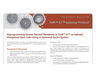 TeSR™-E7™ Episomal Protocol
