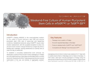 Weekend-Free Culture of Human Pluripotent Stem Cells in mTeSR™1 or TeSR™-E8™
