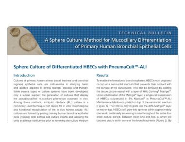 A Sphere Culture Method for Mucociliary Differentiation of Primary Human Bronchial Epithelial Cells