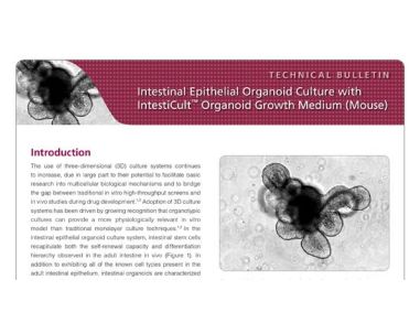 Intestinal Epithelial Organoid Culture with IntestiCult™ Organoid Growth Medium (Mouse)