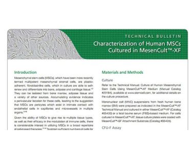Characterization of Human MSCs Cultured in MesenCult™-XF