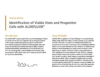 Identification of Viable Stem and Progenitor Cells with ALDEFLUOR™