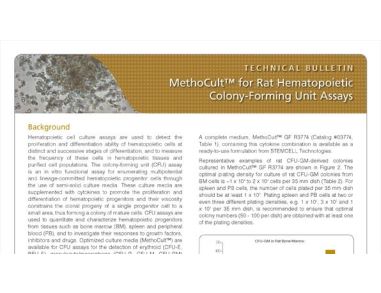 MethoCult™ for Rat Hematopoietic Colony-Forming Unit (CFU) Assays