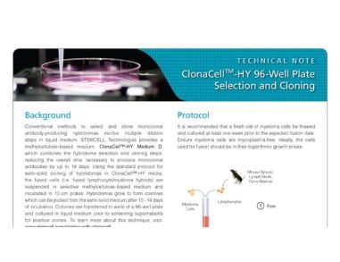 Protocol for Semi-Solid Hybridoma Cloning Using ClonaCell™-HY Medium in a 96-Well Plate