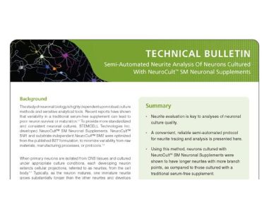 Semi-Automated Neurite Analysis of Neurons Cultured with NeuroCult™ SM Neuronal Supplements