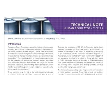 Human Regulatory T Cells