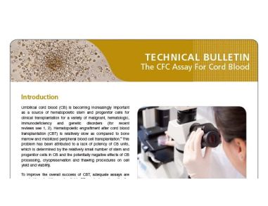 The Colony-Forming Cell (CFC) Assay for Cord Blood