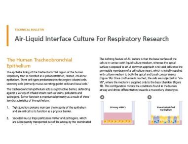 Air-Liquid Interface Culture for Respiratory Research