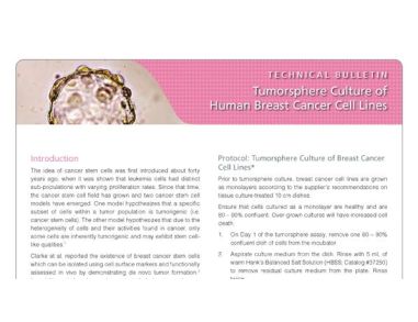 Tumorsphere Culture of Human Breast Cancer Cell Lines