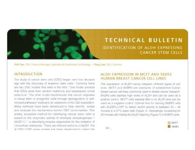 Identification of ALDH-Expressing Cancer Stem Cells Using ALDEFLUOR™