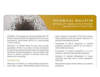 MethoCult™ Formulation Optimized for Mouse BFU-E Detection