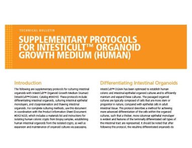 Supplementary Protocols for IntestiCult™ Organoid Growth Medium (Human)