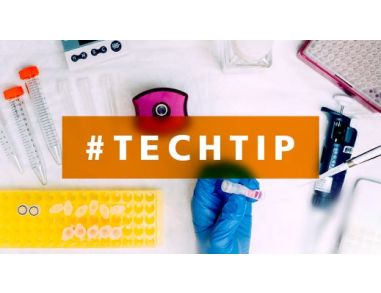 Tips for Reprogramming Somatic Cells using TeSR™-E7™