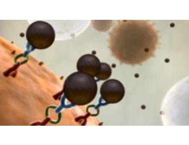 EasySep&trade;: Powerful Immunomagnetic Isolation of Virtually Any Cell Type