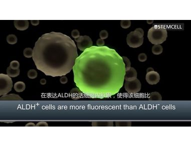 ALDEFLUOR™: Detect Normal and Cancer Precursor Cells